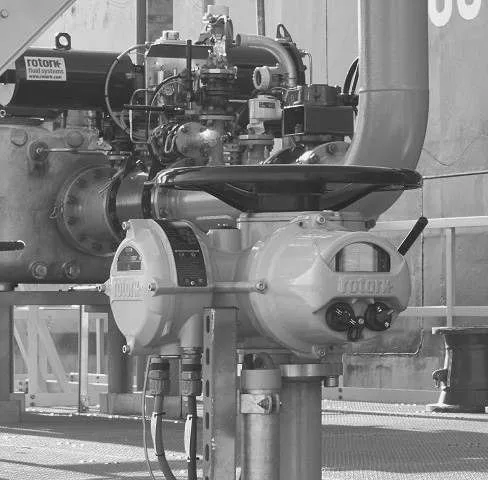 Valves & Actuators
